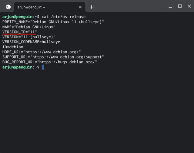 మీ Chromebookలో Linuxని నవీకరించండి
